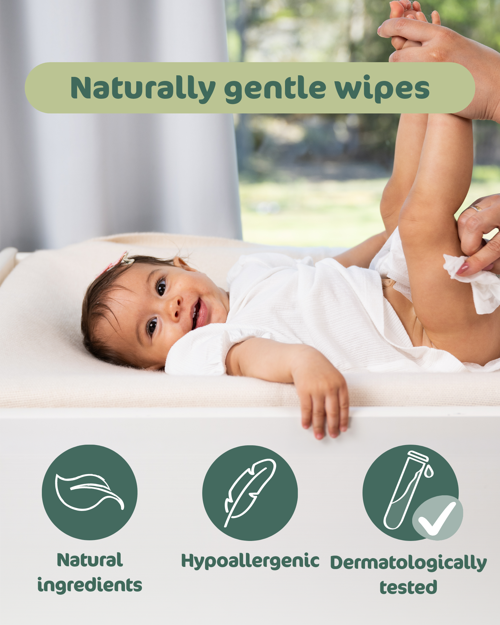 Compostable Wipes