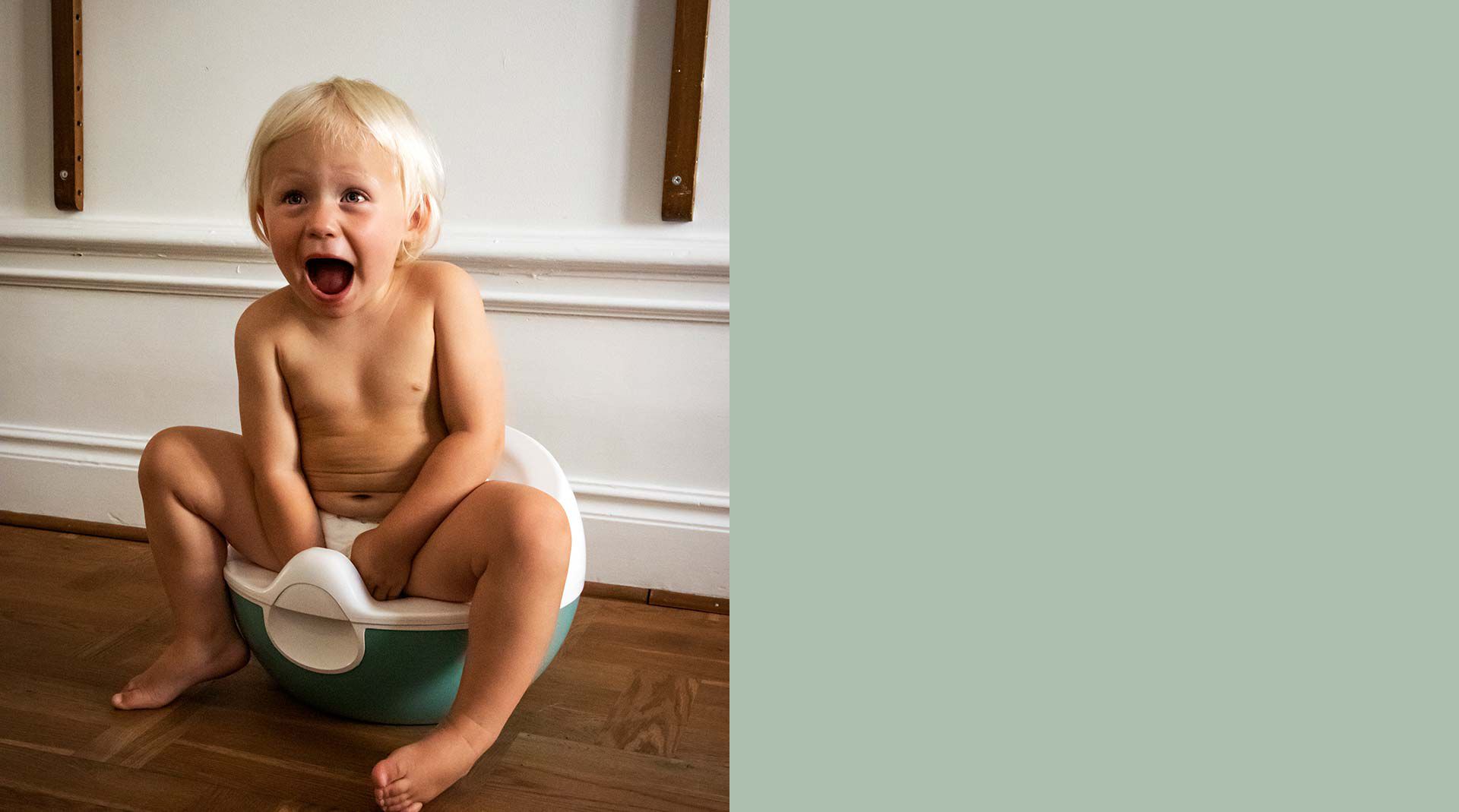 Pot Écologique d'apprentissage à la propreté Clean Potty Naty : avis, prix  - Mam'Advisor